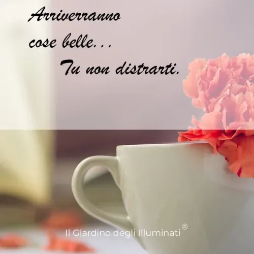 Studio di psicologia Dott.ssa Antonella Cobianco, immagine 31